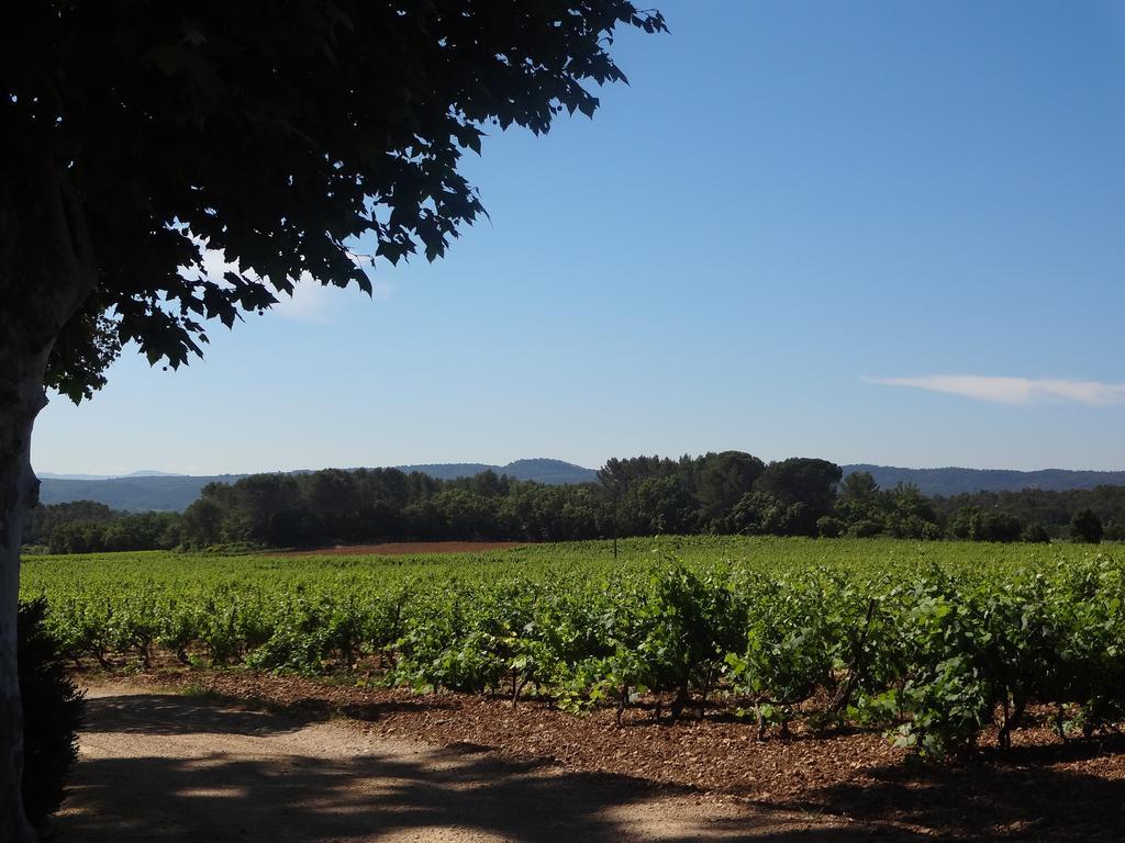 Chateau Nestuby Cotignac Exterior foto